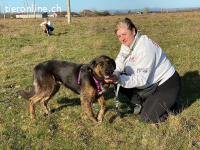 EINE SANFTE SEELE AUF DER SUCHE NACH IHREM GLÜCK