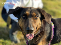 EINE SANFTE SEELE AUF DER SUCHE NACH IHREM GLÜCK