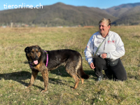 EINE SANFTE SEELE AUF DER SUCHE NACH IHREM GLÜCK