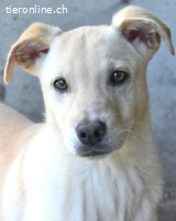 Elaro - gesucht: ein Post-it mit "Sicherheit"