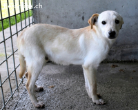 Elvio - seine Mut-Münzen sind fast aufgebraucht