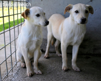 Elvio - seine Mut-Münzen sind fast aufgebraucht