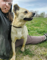 Emilio ein sanfter Engel