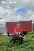 Emilio ist ein fröhlicher, quirliger und liebevolle Rüde