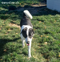 Emma möchte eine treue, liebe Begleiterin sein.