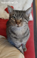 Entzückende Geschwister - 3 Jahre - indoor