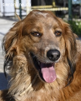 Eros - Sie war so klein, seine Welt...