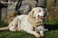 ESPERANZA