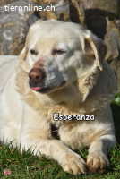 ESPERANZA