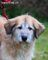 Eva - Voller Tatendrang in eine gute Zukunft ?