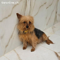 Farah - sucht nach der Geburt ihrer Babys ein Zuhause