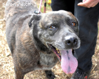 Fareeda - Wo die Schmetterlinge wohnen...