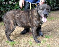 Fareeda - Wo die Schmetterlinge wohnen...