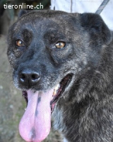 Fareeda - Wo die Schmetterlinge wohnen...