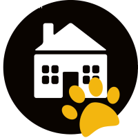 FBA-Praktikum (40-100%)