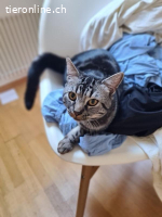 Fenja und Levon – sanft und verspielt vereint