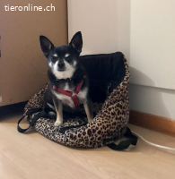Fibi und Max - ein Herz und eine Seele