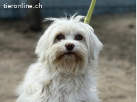 Filipa, wird immer mutiger