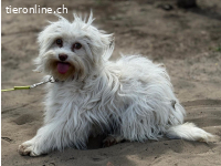 Filipa, wird immer mutiger