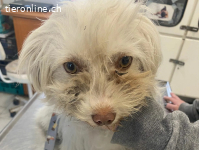 Filipa, wird immer mutiger