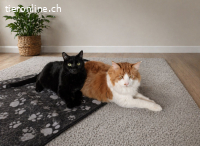 Fipsi und Charly – doppeltes Herz, neues Glück