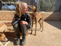 Fito - ein wundervollen Wesen