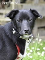 Flaviano - wenn Du mich holst, bleib ich bei Dir