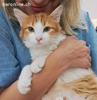 FLORA - DAS BILDHUEBSCHE MAEDCHEN SUCHT DICH