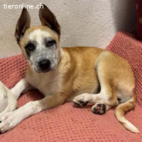 Flora - freundlich, fröhlich und neugierig