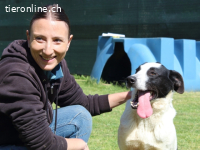 Florentino - Der hübscheste aller Batmans