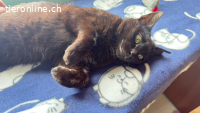 Fosca liebt alle Zwei- und Vierbeiner