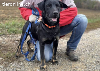 Frederico – Bonyhad