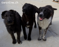 Fröhliche Ofelia sucht ihr Abenteuer fürs Leben