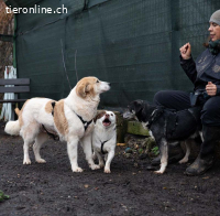 Fulga - ein bisschen schüchtern aber sehr freundlich