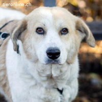 Fulga - ein bisschen schüchtern aber sehr freundlich