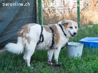 Fulga - ein bisschen schüchtern aber sehr freundlich