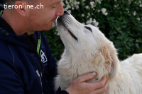 Garth - Kannst du machen, dass es nicht so lange dauert?