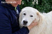 Garth - Kannst du machen, dass es nicht so lange dauert?