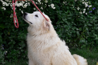 Garth - Kannst du machen, dass es nicht so lange dauert?