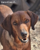 Gavin - wenn Lebensfreude stärker ist als die Vergangenheit