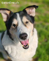 Giangy - Ich hätte da noch Kapazitäten frei