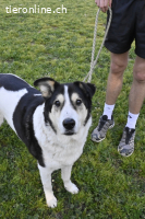 Giangy - Ich hätte da noch Kapazitäten frei