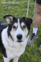 Giangy - Ich hätte da noch Kapazitäten frei