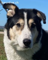 Giangy - Ich hätte da noch Kapazitäten frei