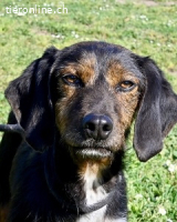 Gio - aussortiert - und immer noch bereit, jemandem ihr ....