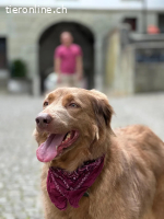 Gioia sucht ein Zuhause mit Verständnis und Klarheit