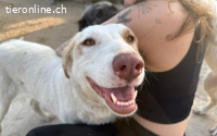 Goldstück Luny sucht Familienanschluss