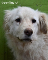 Graciela - Was hatte sie schon...