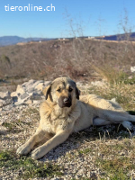 Groß - Größer - Lenobia (1 Jahr)