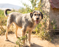 Hallo, ich bin Eve und suche ein Zuhause